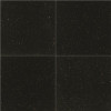 Msi Black Galaxy 18 In. X 18 In. Polished Granite Wall Tile (9 Sq. Ft. / Case)