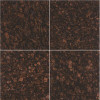 Msi Victorian Brown 12 In. X 12 In. Polished Granite Floor And Wall Tile (10 Sq. Ft. / Case)