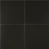 Msi Absolute Black 12 In. X 12 In. Polished Granite Floor And Wall Tile (10 Sq. Ft. / Case)