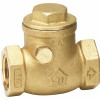 Homewerks Worldwide 2 In. Lead Free Brass Fip X Fip Swing Check Valve