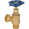 Everbilt 1/2 In. X 1/2 In. Brass Mpt X Mht Boiler Drain