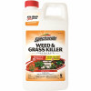 Spectracide Weed And Grass Killer 64 Oz. Concentrate