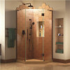 Prism Plus 38 In. D X 38 In. W X 72 In. H Semi-Frameless Neo-Angle Hinged Shower Enclosure In Oil Rubbed Bronze Hardware