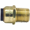 Tectite 1/2 In. Brass Push-To-Connect X Male Pipe Thread Adapter