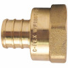 Apollo 1 In. Brass Pex Barb X 1 In. Female Pipe Thread Adapter