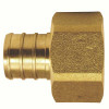 Apollo 3/4 In. Brass Pex Barb X Female Swivel Adapter