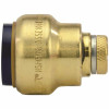 Tectite 3/4 In. Brass Push-To-Connect Cap With Drain