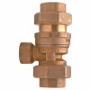 Zurn 3/4 In. Brass Dual Check Valve Assembly With Intermediate Atmospheric Vent