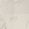 Msi Carrara 24 In. X 24 In. Polished Porcelain Floor And Wall Tile (28 Cases / 448 Sq. Ft. / Pallet)