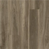 Shaw Bountiful Sodbury 6 In. X 48 In. Vinyl Plank (41.72 Sq. Ft. / Case) - 305926278