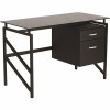 Carnegy Avenue 46 In. Black Rectangular 2 -Drawer Computer Desk With File Storage