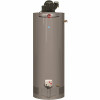 Rheem Professional Classic 50 Gal. Short 6-Year Natural Gas Power Vent Residential Water Heater
