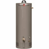 Rheem Professional Classic Mobile Home 40 Gal. Tall Residential 6-Year 34,000 Btu Convertible Natural Gas/Lp Water Heater