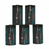 Pyramid Time Systems C 3.6-Volt Lithium Batteries (5-Pack)