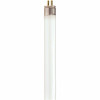 Satco 14-Watt 2 Ft. T5 Miniature Bi Pin Base Linear Fluorescent Light Bulb In Cool White (40-Pack)