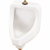 Gerber Plumbing Layfayette Top Spud 0.5 And 1.0 Gpf Urinal In White