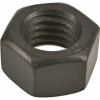 3/8 In. - 16 In. Black Exterior Hex Nuts (50-Pack)