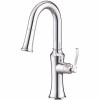 Danze By Gerber Draper Single-Handle Pull-Down Sprayer Kitchen Faucet With Snapback In Chrome