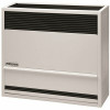 Williams 22,000 Btu Direct-Vent Liquid Propane Gas Wall Heater