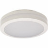 Liteco White Outdoor Led Bug Proof Ceiling Or Wall Lantern