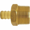 Apollo 3/4 In. Brass Pex Barb X 1 In. Male Pipe Thread Reducing Adapter