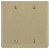 Hubbell Wiring 2-Gang Ivory Box Mount Blank Wall Plate