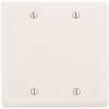 Hubbell Wiring 2-Gang White Medium Size Box Mount Blank Wall Plate