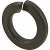 1/4 In. Black Exterior Split Lock Washers (50-Pack)