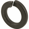 5/16 In. Black Exterior Split Lock Washers (50-Pack)