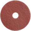 Diversey Twister Ht Pad 16 In. Machine Pad (2-Ea)