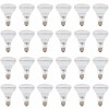 Sylvania 65-Watt Br30 Flood And Spot Incandescent Light Bulb (24-Pack)