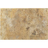 Msi 2 In. X 16 In. X 24 In. Tuscany Scabas Brushed Travertine Pool Coping (2.67 Sq. Ft.)