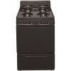 Premier 24 In. 2.97 Cu. Ft. Freestanding Gas Range In Black - 202988430