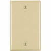 Leviton 1-Gang No Device Blank Wallplate Standard Size Thermoplastic Nylon Box Mount Ivory