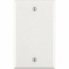 Leviton 1-Gang No Device Blank Wallplate Standard Size Thermoplastic Nylon Box Mount White