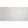 Genesis 23.75In. X 47.75In. Printed Pro Lay-In Vinyl White Ceiling Tile (Case Of 10)