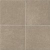 Msi Concerto Grigio 24 In. X 24 In. Square Polished Porcelain Paver Floor Tile (14 Pieces/56 Sq. Ft./Pallet)