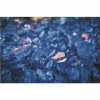 Pleasant Hearth 20 Lbs. Blue Tempered Glass Rocks