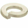 Everbilt 1/4 In. Zinc Plated Lock Washer (100-Pack)