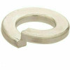 Everbilt 1/2 In. Zinc Plated Lock Washer (100-Pack)