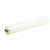 Sylvania Sylvania Linear Fluorescent Lamp, T12, Rapid Start, 40 Watts, 4100K, 87 Cri, Medium Bipin, 48 In.