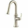 Gerber Draper Single-Handle Pull-Down Sprayer Kitchen Faucet With Snapback Retraction In Stainless Steel