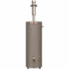 Rheem Professional Classic Mobile Home 40 Gal. Convertible Residential Natural Gas/Liquid Propane Direct Vent Water Heater