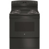 GE 30 in. 5.0 cu. ft. Electric Range with Self-Cleaning Oven in. Black