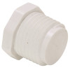 Mueller Streamline 1/2 in. PVC MIPT Plug