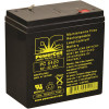6-Volt 42.0 Ah, F2 Terminal, Sealed Lead-Acid, AGM, Maintenance Free, Rechargeable, Non-spillable, Battery