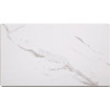 PALISADE 25.6 in. L x 14.8 in. W Carrara Marble Waterproof Adhesive No Grout Vinyl Wall Tile (21 sq. ft./case)