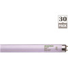 Sylvania 32-Watt Energy Saving T8 Linear Fluorescent Light Bulb Daylight (30-Case)