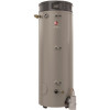 Rheem Commercial Triton Heavy Duty High Efficiency 100 Gal. 200K BTU ULN Natural Gas Power Direct Vent Tank Water Heater