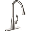Seasons Westwind Single-Handle Pull-Down Sprayer Kitchen Faucet in Chrome